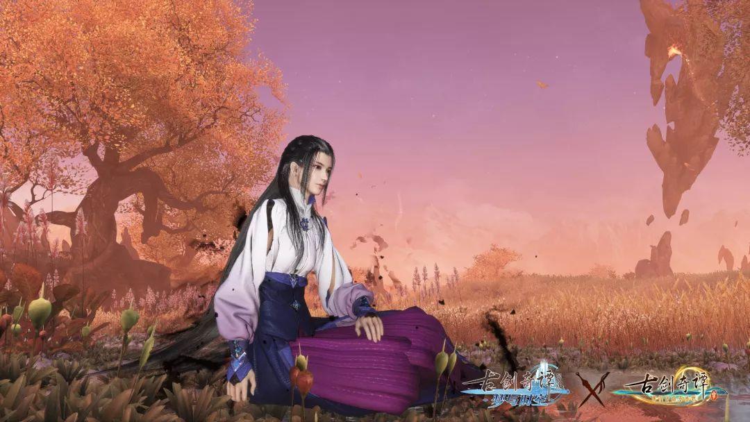 江心屿即将焕新归来 各类业态开始招商