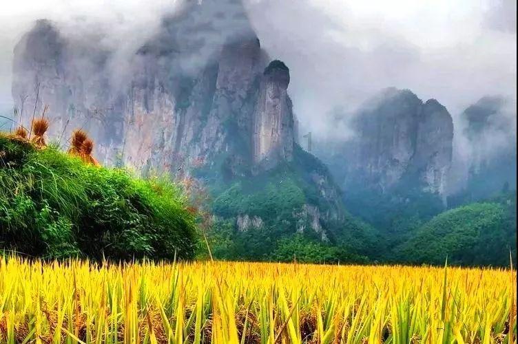 小小兵团