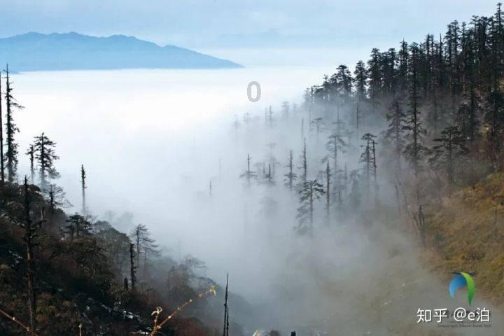 央视镜头被戏称“照妖镜”,那你知道有哪些明星抗住了央视镜头吗?-你的问答资讯平台