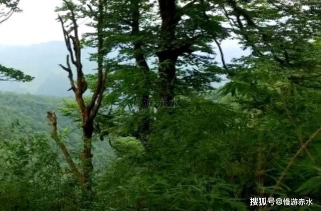 暗黑传说单机版