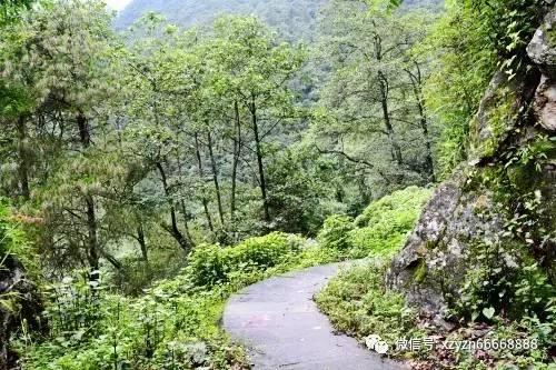 清代发现“小人国”,小人平均高度约20公分,国王的坐骑为“鸡”