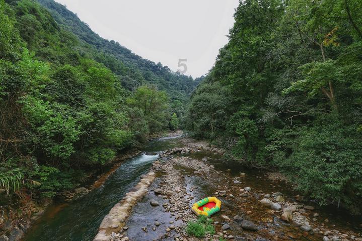 管理哲学2∣宋人献宝