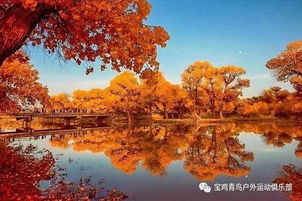 影视工厂