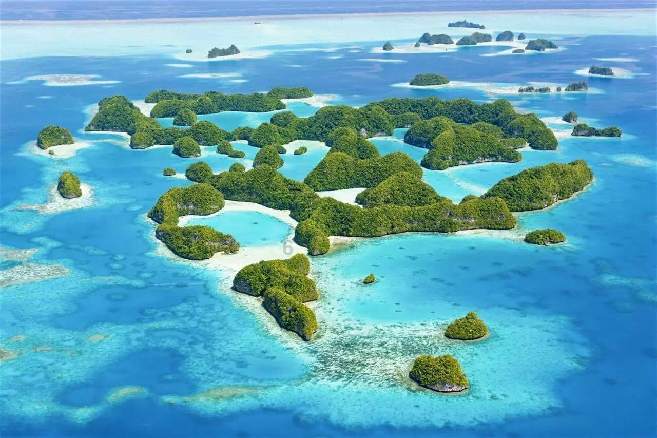 动物拼一拼