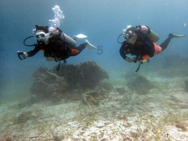 金融监管总局：金融业大力支持房地产责无旁贷