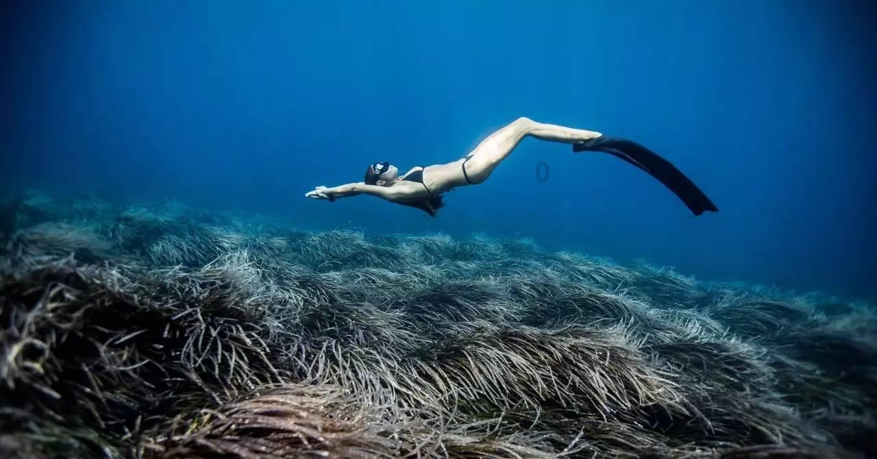 颖泰生物:全球农化产品供应商,公司具备农药登记证优势