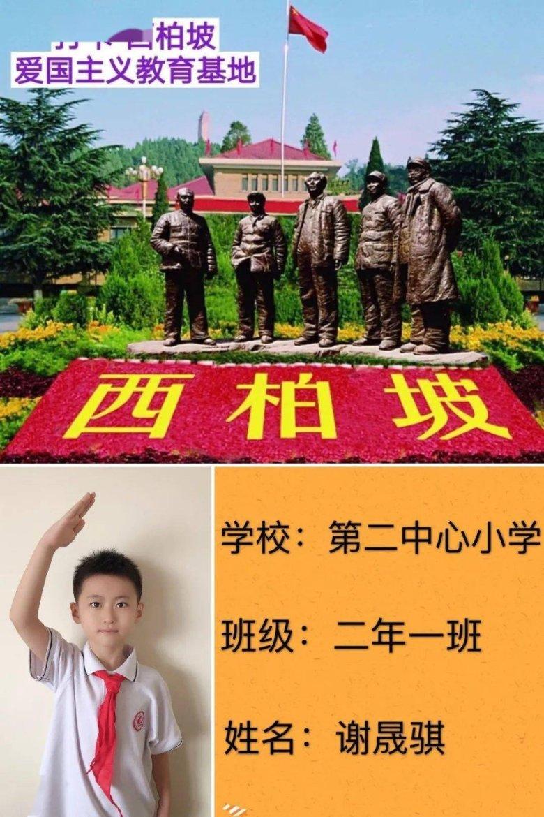 创作猫