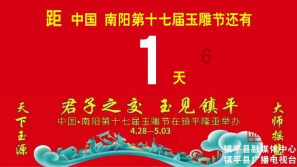 救援大嘴鸟