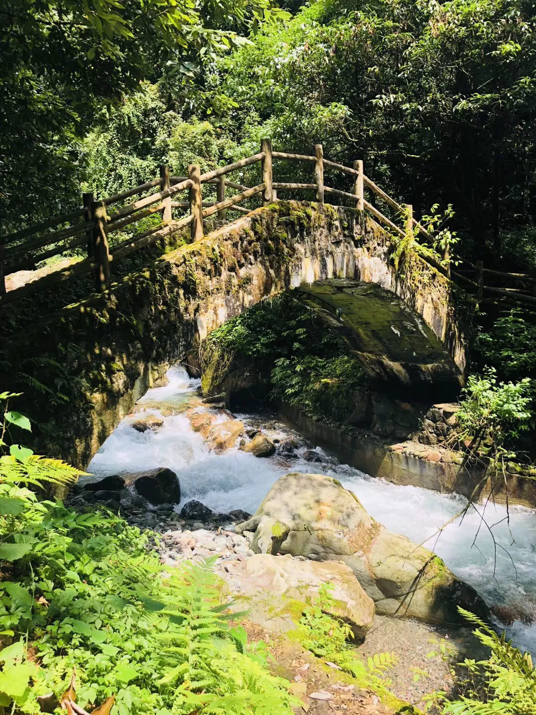 痛悼！巨星陨落