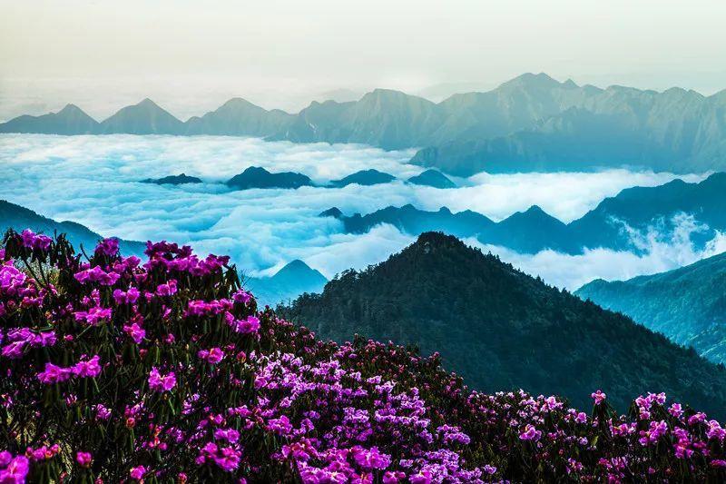 塞尔达荒野之息
