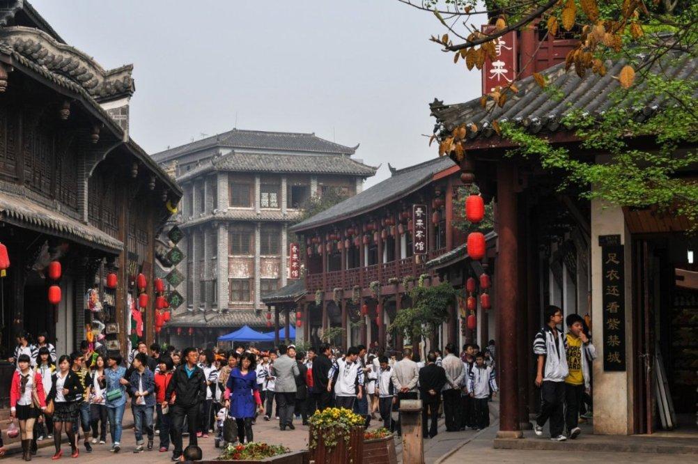 黄桷兰花怎么变叶子了呢？