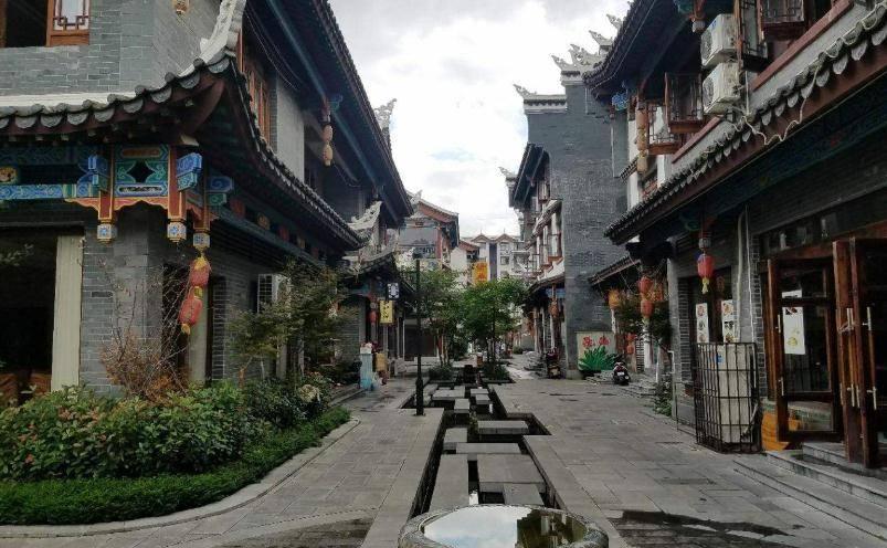 照顾小兔宝宝