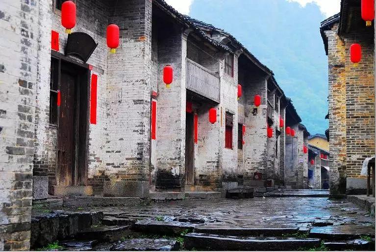 爱丽丝和闺蜜
