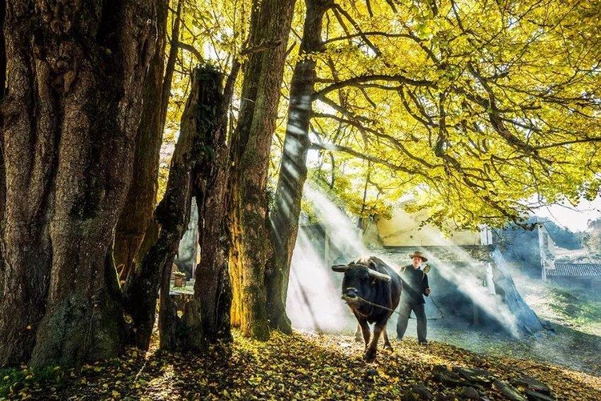 《铁拳8》发售画面惊艳 风间仁三岛一八对战场景亮眼